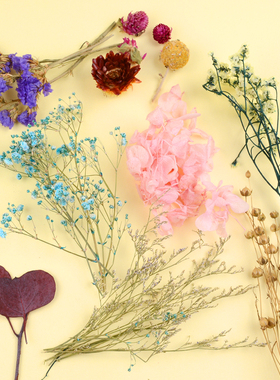 干花永生花手工花装饰材料真花