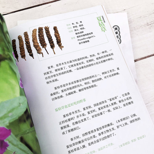 男女老幼及四季养生汤来源功效制作与食用注意事项广东汤茶文化中草药煲汤靓汤与凉茶里的本草文化 走进本草博物世界全新正版书籍_虎窝淘