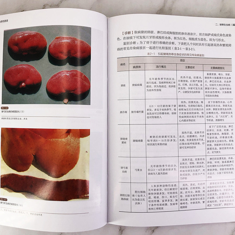 正版现货猪病诊治原色图谱猪病诊治技术猪病用药猪病鉴别方法兽医兽药兽医书籍养猪书籍大全猪流行病学临床症状病理变化书_虎窝淘