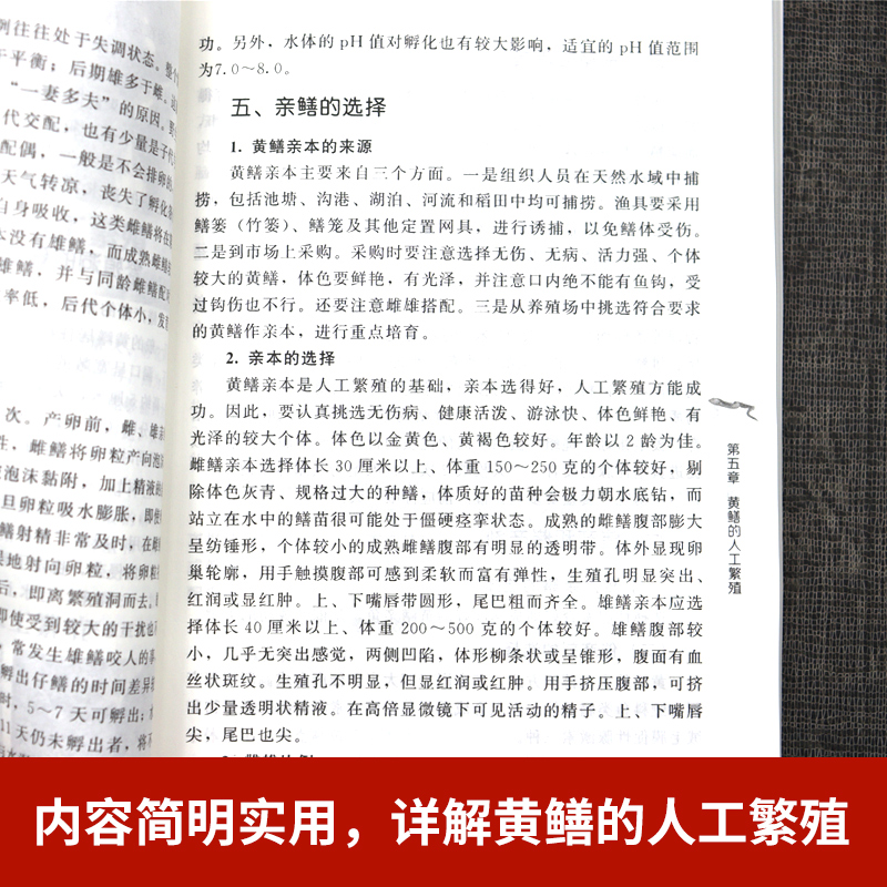 黄鳝养殖关键技术精解 黄鳝养殖技术书鳝鱼高效养殖技术水产疾病防治诊断水产养殖技术书籍大全人工饲养饲料配方手册鱼场科学管理 - 图2