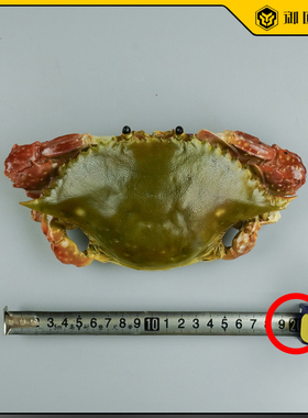 御匠壹品仿真咸呛蟹模型梭子蟹