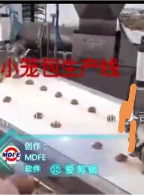 老面小笼包 手工小笼包自动化生产线