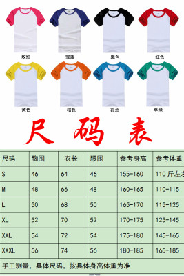 毕业班服定制t恤中小学生运动会纯棉短袖1班2班3班团队服装印图案