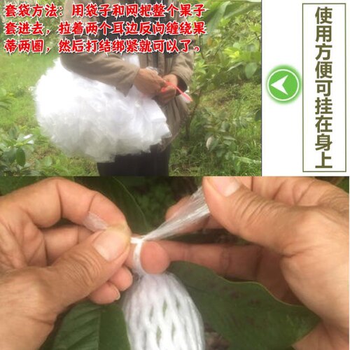 芭乐番石榴网袋套袋防虫水果专用保护袋特厚款番石榴泡沫一体网袋 - 图3