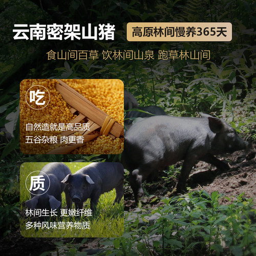 云南密架山猪高原有机黑毛土猪肉猪肉前后腿梅子肉新鲜现杀顺丰 - 图1