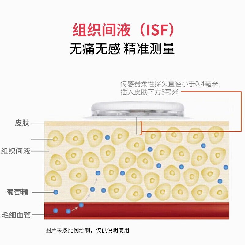 雅培瞬感免扎针血糖仪家用免扎手指动态监测传感器探头测血糖仪yp - 图2