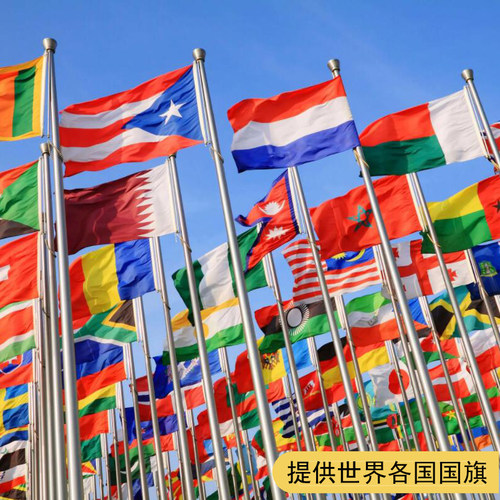 蒙古国旗 2号3号4号5号旗帜世界各国国旗 户外室内挂旗 - 图2