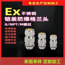 304 explosion-proof sheathed cable clamping sealing joint 1 type double sealed metal filler letter stainless steel Gran head
