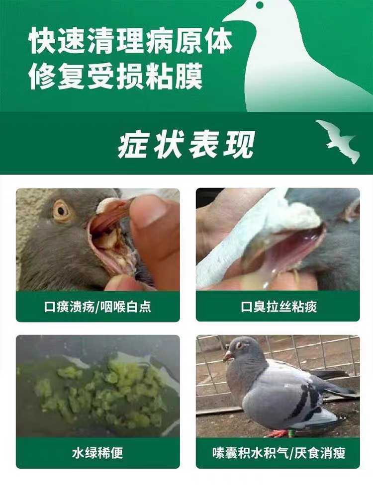 搏冠百草滴菌康清理鸽子鹦鹉毛滴虫念珠菌霉菌呼吸道专用保健品 - 图2