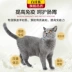 Thức ăn cho mèo Tiếng Anh ngắn đặc biệt mèo mèo 10kg cá hồi hương vị mèo cưng 20 kg mèo xanh trong nhà thực phẩm tự nhiên - Cat Staples