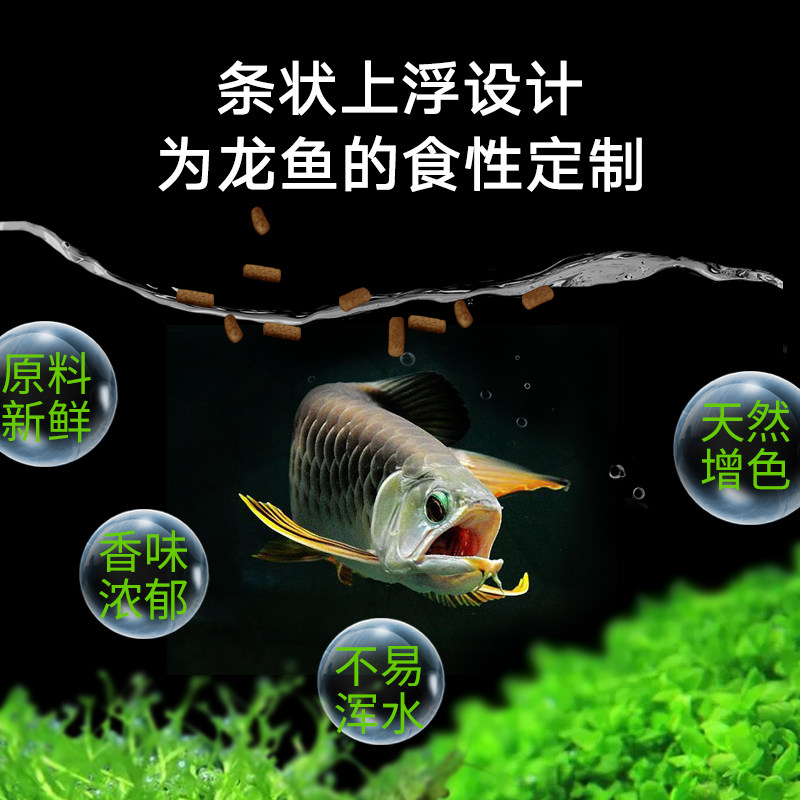 maytra美彩龙鱼专用饲料 银龙鱼金龙鱼 红龙鱼 招财鱼 慈鲷颗粒型