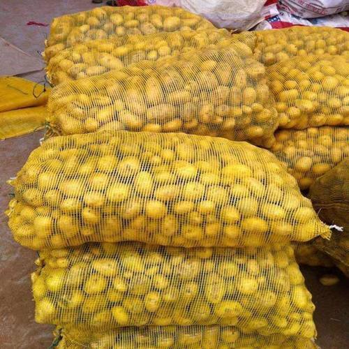 网袋编织袋装玉米洋葱塑料加密加厚绿色网眼袋橙子水果网兜袋包邮 - 图1