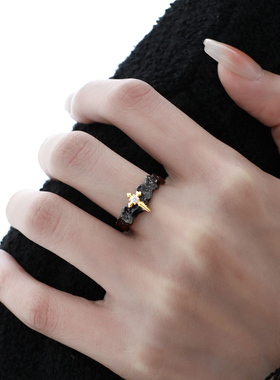 禾派 公主骑士情侣银戒指情人节S925纯银小众百搭高级感戒指