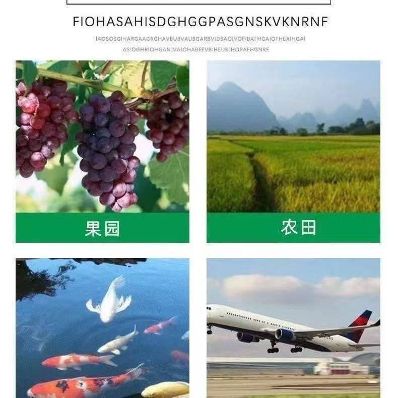 围栏养殖果园防鸟网鱼塘防鸟用网果树菜地粮食防鸟专用网户外尼龙,淘宝优惠券,粉丝福利购,淘宝优惠卷