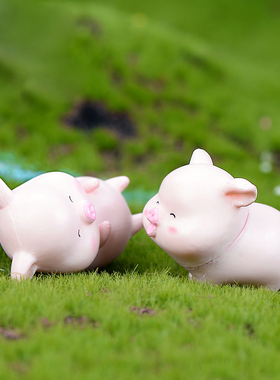 多肉黄色雨衣背书包小动物摆件