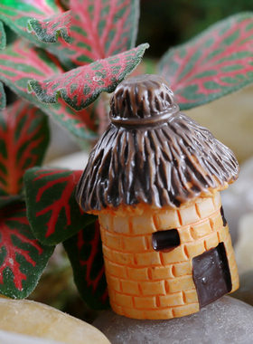 diy苔藓微景观园艺小房子摆件