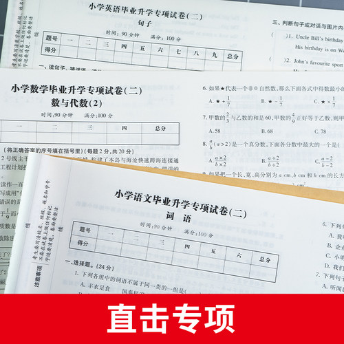 2025小升初真题卷语文数学英语必刷题人教版小学毕业升学总复习资料六年级下册试卷测试卷全套练习册名校模拟期末专项训练书2024年 - 图2