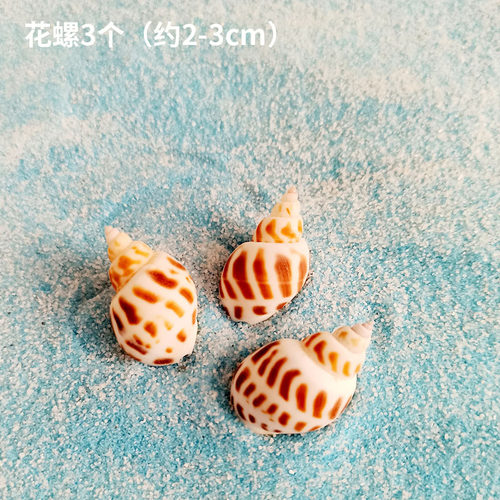 海藻球鱼缸造景小摆件鱼儿玩具微景观生态瓶配件装饰公仔珊瑚小船 - 图0