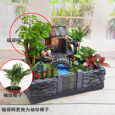 创意苔藓微景观生态瓶龙猫盆栽桌面办公室diy室绿植室内小植物 虎窝淘