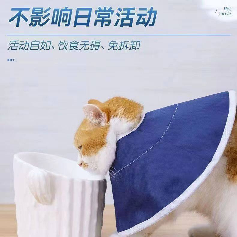无纺布伊丽莎白圈医用舒适防舔宠物项圈软圈脖圈绝育用品猫咪头套,淘宝优惠券,粉丝福利购,淘宝优惠卷