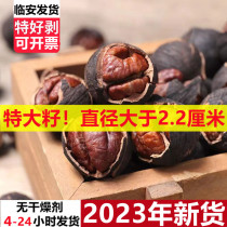 Extra-large seed good exfoliation 2023 New goods Linantic prolific hand peeling small huashan walnut 500g jar loose bagged gift box