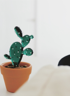 新品 超级松弛盆栽 原创绿植盆栽家居装饰摆件办公室伴手礼物