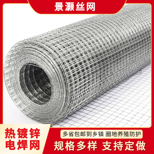 镀锌铁丝网拦鸡养殖网钢丝网防护网防鼠网菜园果园隔离网小孔围栏 - 图0