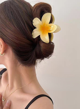 欧美跨境鸡蛋花抓夹女果冻色热卖发卡渐变透明彩色发夹后脑勺发抓