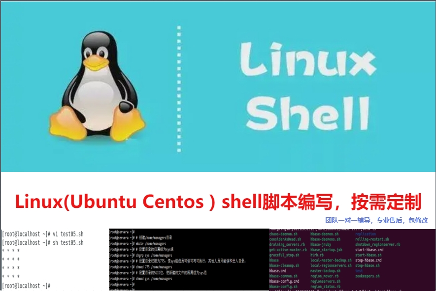 定制linux命令 shell脚本代写 bash 脚本自动化 - 图0