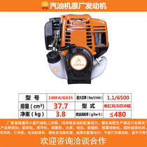 Petrol Engine Engine Two-stroke Four Stroke High Power Small Mower Cutting Irrigation Machine Ground Drilling Hair Dryer Handpiece