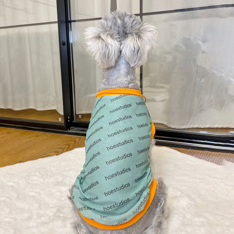 狗狗衣服夏季小型犬网纱背心雪纳瑞泰迪博美衣服防脏超薄宠物衣服 - 图2