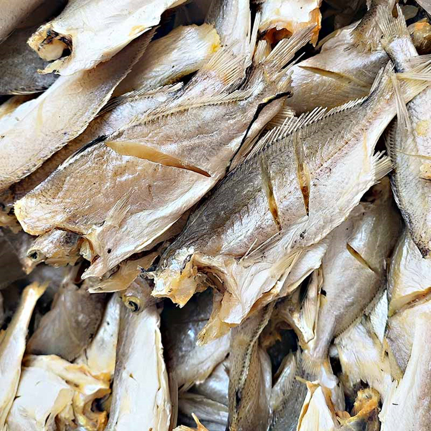 台州白梅鱼白梅鲞去头去内脏咸鱼海鲜干货,淘宝优惠券,粉丝福利购,淘宝优惠卷