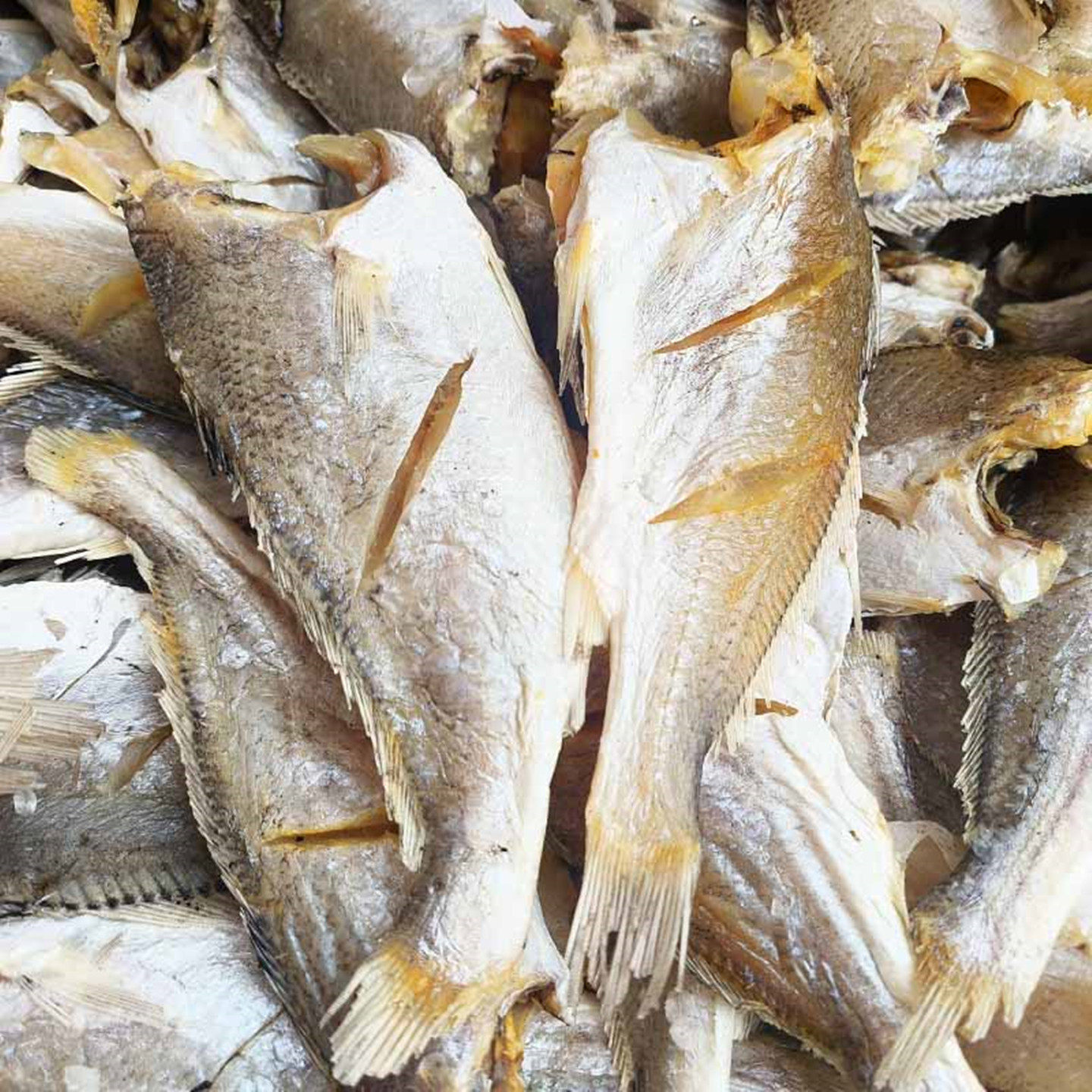 台州白梅鱼白梅鲞去头去内脏咸鱼海鲜干货,淘宝优惠券,粉丝福利购,淘宝优惠卷