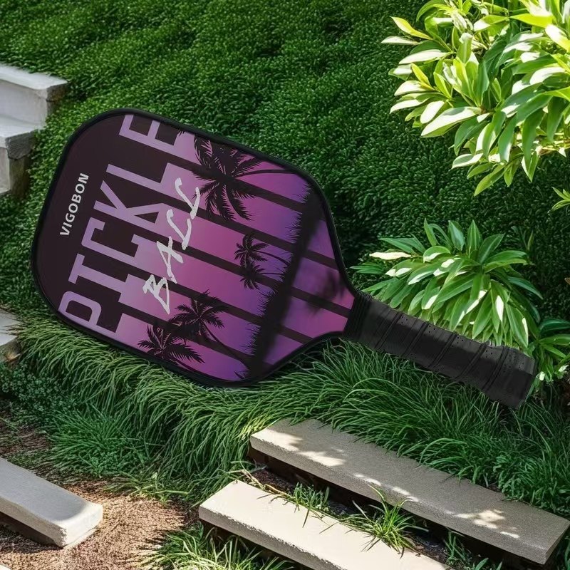匹克球板拍pickleball球拍玻璃纤维匹克拍专业级匹克球球拍板套装,淘宝优惠券,粉丝福利购,淘宝优惠卷
