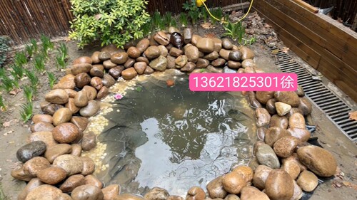花园石头装饰庭院水池围边鹅卵石毛石水池底部装饰大头荷花池公园 - 图1