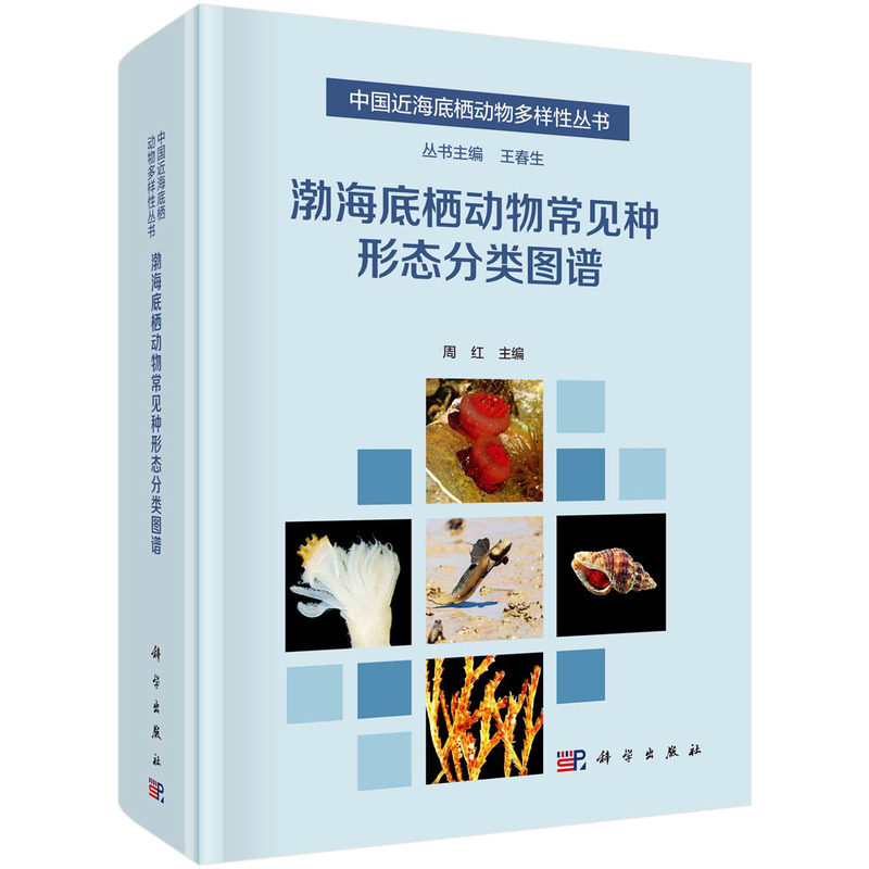 渤海底栖动物常见种形态分类图谱+黄海底栖动物常见种形态分类图谱+东海底栖动物常见种形态分类图谱 中国近海底栖动物多样性丛书