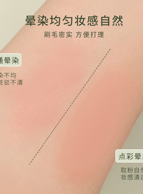 逆龄摩登时代N23点彩刷子腮红刷