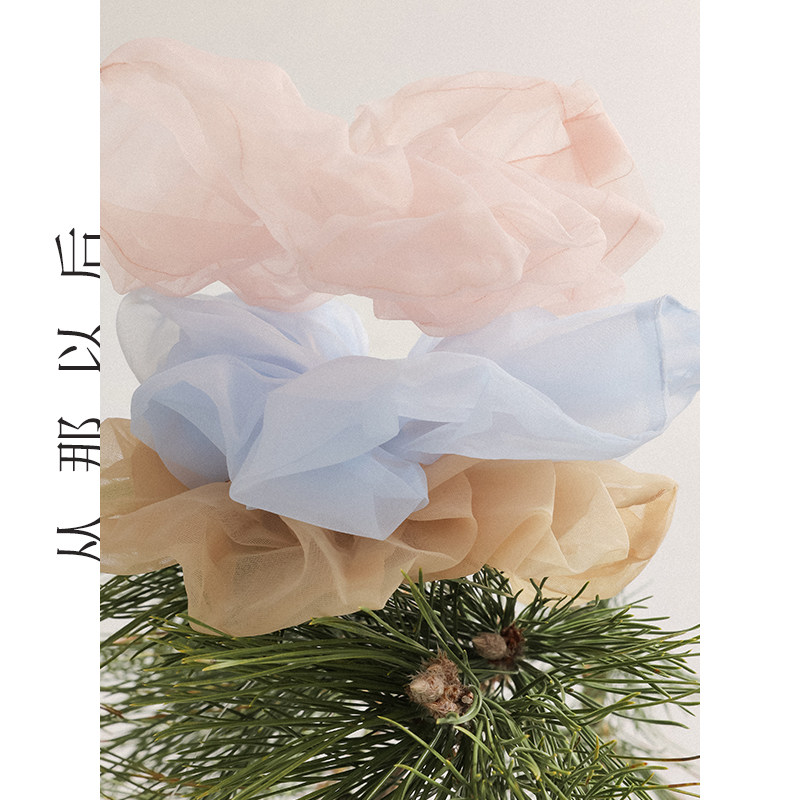 从那以后大肠发圈头绳高级感头花发饰橡皮筋扎头发绳女春2024新款,淘宝优惠券,粉丝福利购,淘宝优惠卷