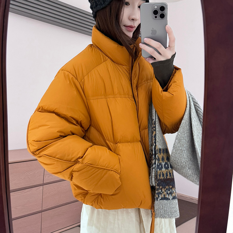 话里短款简约小个子羽绒服2025冬季新款韩版休闲显瘦上衣面包服女 - 图0