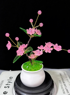 DIY幸福花车载小盆栽材料包