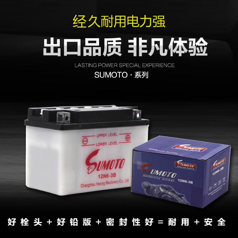 出口12V摩托车电瓶12v7ah3a2.5L-5AH老五羊木兰蓄电池6V2A嘉陵70 - 图1