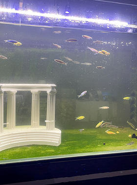 栩元复合水泥罗马风鱼缸造景