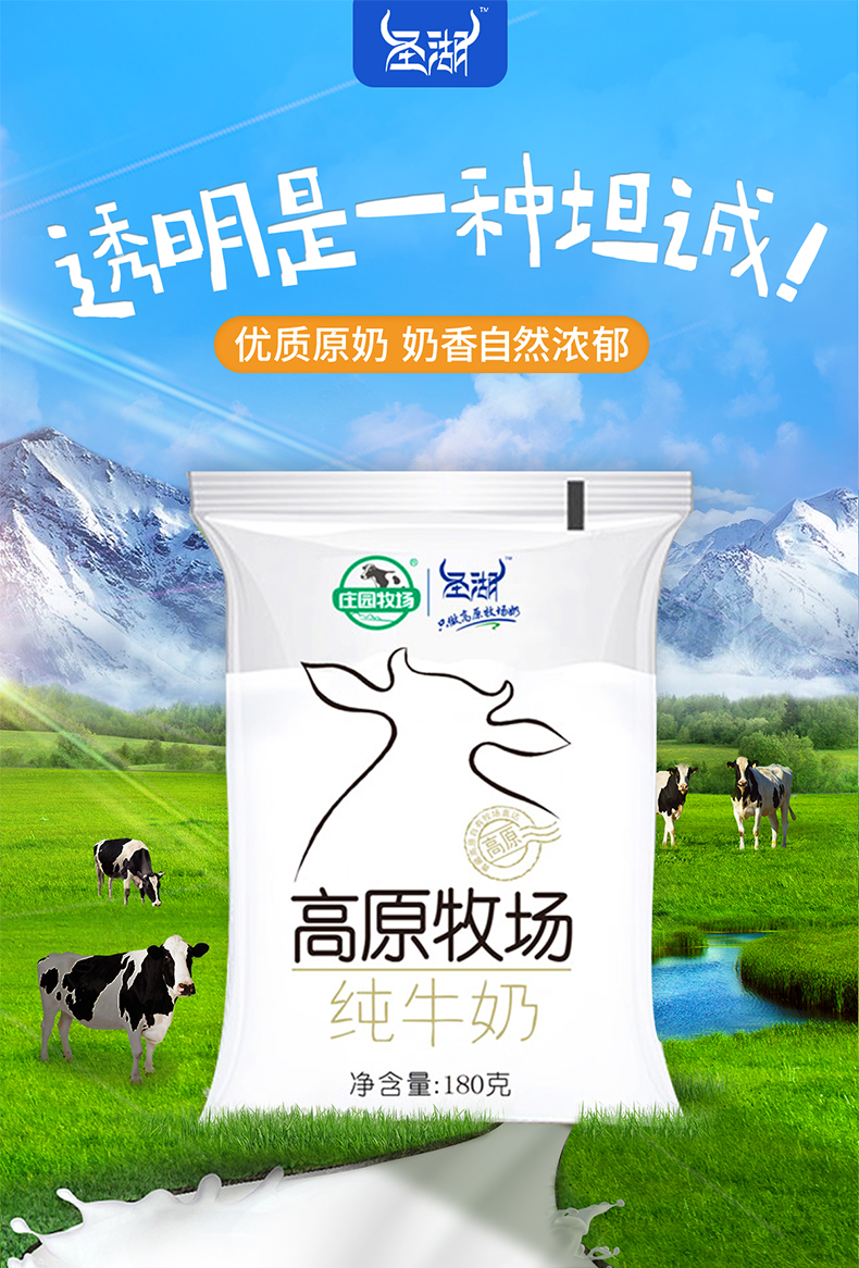 圣湖 青海透明袋纯牛奶网红烘焙专用早餐整箱180g*16袋装 - 图1