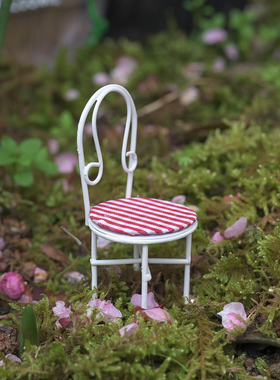 白沙园艺铁艺微景观摆件田园风格