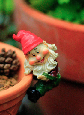 萌哒哒戴帽小矮人摆件室内多肉