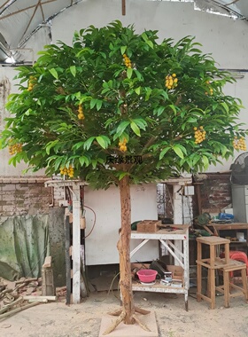 仿真龙眼树假龙眼果超时模型道具室内大型装饰摆件造景
