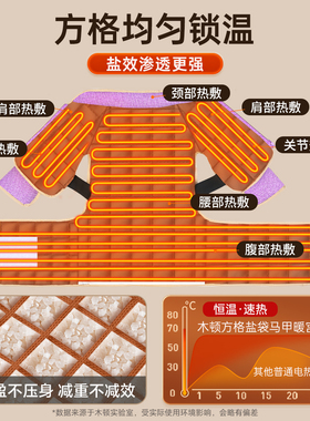 【头灸肩周热敷】海盐电加热盐袋
