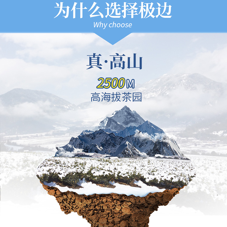 克黑乌龙茶叶 105 金乌龙茶 极边家人云猫 腾冲极边乌龙茶 新品 2018 克黑乌龙茶叶 105 金乌龙茶 极边家人云猫 腾冲极边乌龙茶 新品 2018