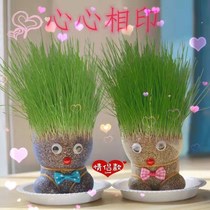 Mini Cartoon Long Grass Doll to Mao Ball Little Kids Birthday Gift Grass Head Doll Sponge Baby