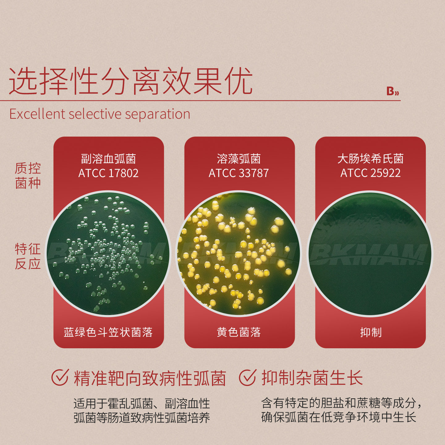 弧菌检测盒测试盒TCBS弧菌平板培养基皿海缸水产弧菌9cm海博生物,淘宝优惠券,粉丝福利购,淘宝优惠卷